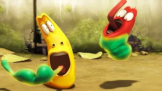 SUPER LARVA - Larva | Crazy Cartoons | WildBrain Cartoons