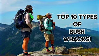 Top 10 Types of BushWhacks