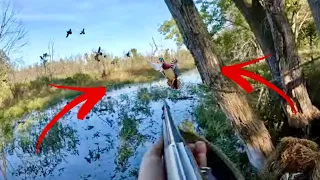 DUCK HUNTING Opener! 3 Man Wood Duck LIMIT in a TRUE TIMBER Hole (UNEXPECTED HONEY HOLE)