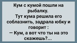 Кум с Кумой Пошли на Рыбалку! Сборник Свежих Анекдотов! Юмор!