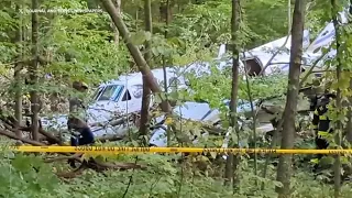 Small plane crashes in Busse Woods Forest Preserve