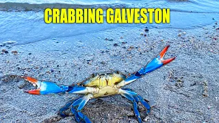 CRABBING In GALVESTON Bay (Blue Crab Catch & Cook)