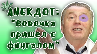 Вовочка пришел с фингалом... Анекдоты свежие