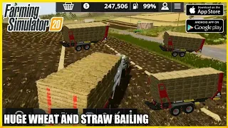 Farming Simulator 20 Huge Wheat harvest and Straw bailing Timelapse (Android/Ios) #fs20