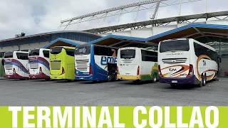 Terminales y Rodoviarios #9 | Movimiento de Buses en Terminal Collao - Concepción (28 de Diciembre)