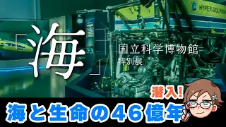 【特別展 海】夏休みに海展行く人必見！ゆるふわ生物学の特別レポート【国立科学博物館】