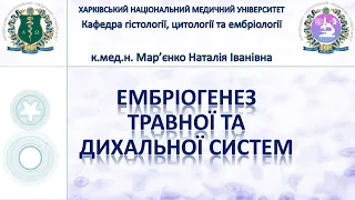 Ембріогенез травної та дихальної систем