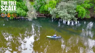 Clear Water And Big Bites | The Full Scale