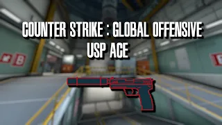 USP-S Ace in Style of Metal Gear Solid 2