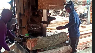 Wow,,hampir saja,! super cepat.!!! inilah proses pembuatan bahan baku mebel kayu mahoni di sawmill