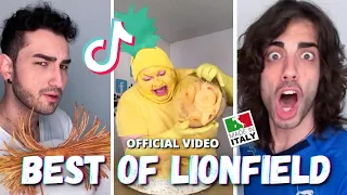 LIONFIELD VIRAL SERIES: Best of Lionfield Compilation Pt.3