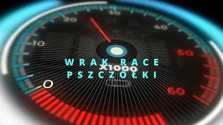 Wrak Race Pszczółki 03 2024