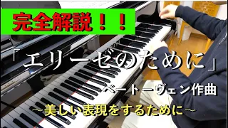 【登録100人感謝！！】「エリーゼのために」をプロが完全解説！！　【ピアノレッスン】