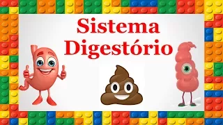 Corpo Humano - Sistema Digestório - Estômago e Intestino