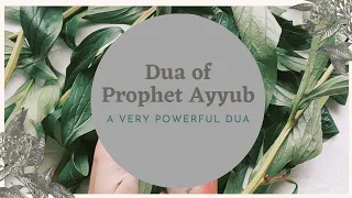 Powerful Dua of Prophet Ayyub (alayhi salaam)