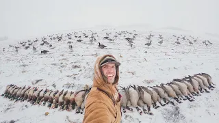 FIRST SNOW STORM DUCK HUNT in ALBERTA!