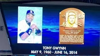 Cubs' broadcast pays tribute to Gwynn