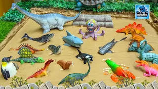 Sea Animals & Dinosaurs Stuck in Muddy Adventure | Fun Learning Episode 4Kids