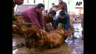 Turkey - Izmir Torrential Rain Floods Aftermath