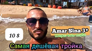 Египет🇪🇬 Бесплатно Amar Sina 3* За 10 долларов с человека Какой будет отдых Ресторан пляж территория