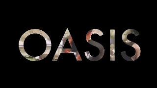 Oasis Music Festival after movie