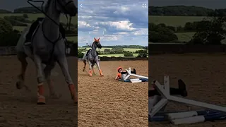 UNPLANNED DISMOUNT 🤣 #horse#equestrian#equestrianlife#fail#fall#horsegirl#showjumping