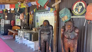 Georgia Bigfoot Museum and Some Exploration in North Georgia Mountains