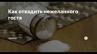 Как с помощью примет отвадить нежелательных гостей.