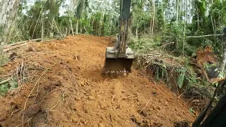 Escavadeira abrindo estrada para retirada de madeira P2