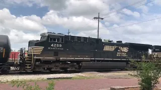 Amtrak 59, 58 + CN A420 lead by NS Duo is Ponchatoula + Hammond, LA