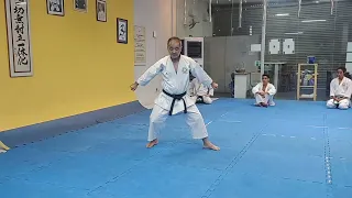 TREINO DAS BASES KIBA, ZENKUTSU E KOKUTSU DACHI. Deslocando no enbusen do Taikyoku.