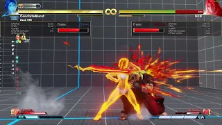Akira combo utilizing all her buffs in Championship Edition