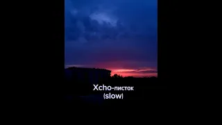 Xcho Листок slow 1 hour