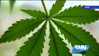 SNN: Medical Marijuana Dispensary Coming Soon?