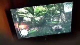 Far cry 3 ,  how to go in cirtra's temple glitch