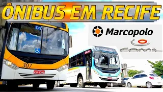 #027  Terminal do Barro  - Ônibus em Recife -   Movimentação no Ti  Barro