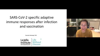 Daniela Weiskopf: "SARS-CoV-2 specific adaptive immune responses after infection and vaccination"