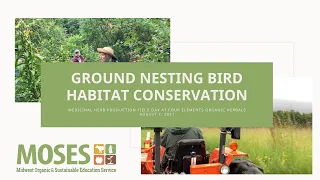 Ground Nesting Bird Habitat Conservation