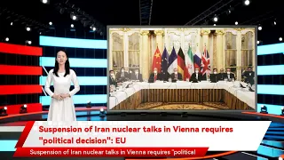 Suspension of Iran nuclear talks in Vienna requires "political decision": EU