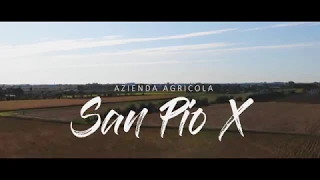 AZIENDA AGRICOLA SAN PIO X - Video promozionale