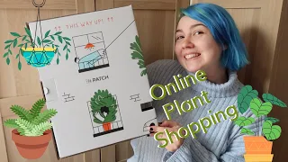 testing patch plants ordering plants online