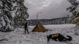 2 Days Winter Camping : Snow Camping with My Dog on the Old Lake Shore, Hot Tent, Wood Stove