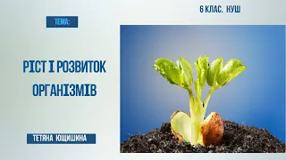 Урок 31. Ріст і розвиток організмів. 6 клас. НУШ