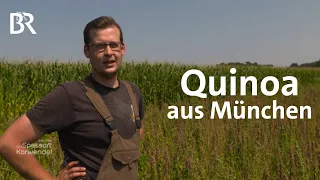 Quinoa aus München: Die letzten Bauern in der Stadt | Zwischen Spessart und Karwendel | BR