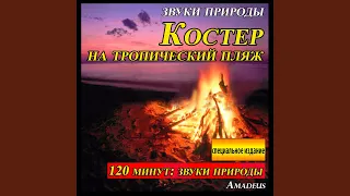 Гроза с громом и молнией: звуки природы (Bonus Track)