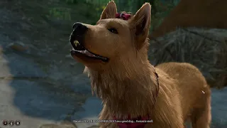 Good Dog (Baldur's Gate 3)