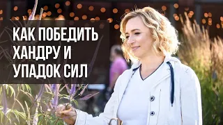 Как избавиться от осенне-зимней хандры и поднять свой уровень энергии простыми способами. Биохакинг