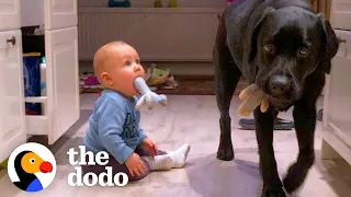 Dog Teaches His Little Human How To Be A Puppy | The Dodo Soulmates