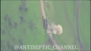 German Gepard shrugs off russian kamikaze drone