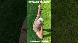 DYNAMIC RELEASE PRACTICE .. TRADITIONAL ARCHERY .. #archery #bogenschießen #hunting #bow #shorts